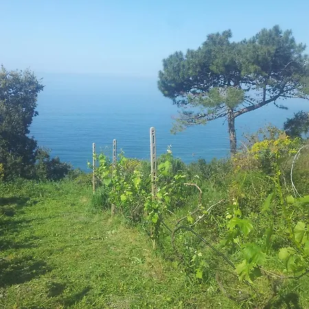 Gasthuis Cinque Terre Andrea 3*